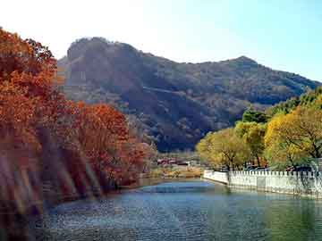 澳门二四六天天彩图库，磷酸